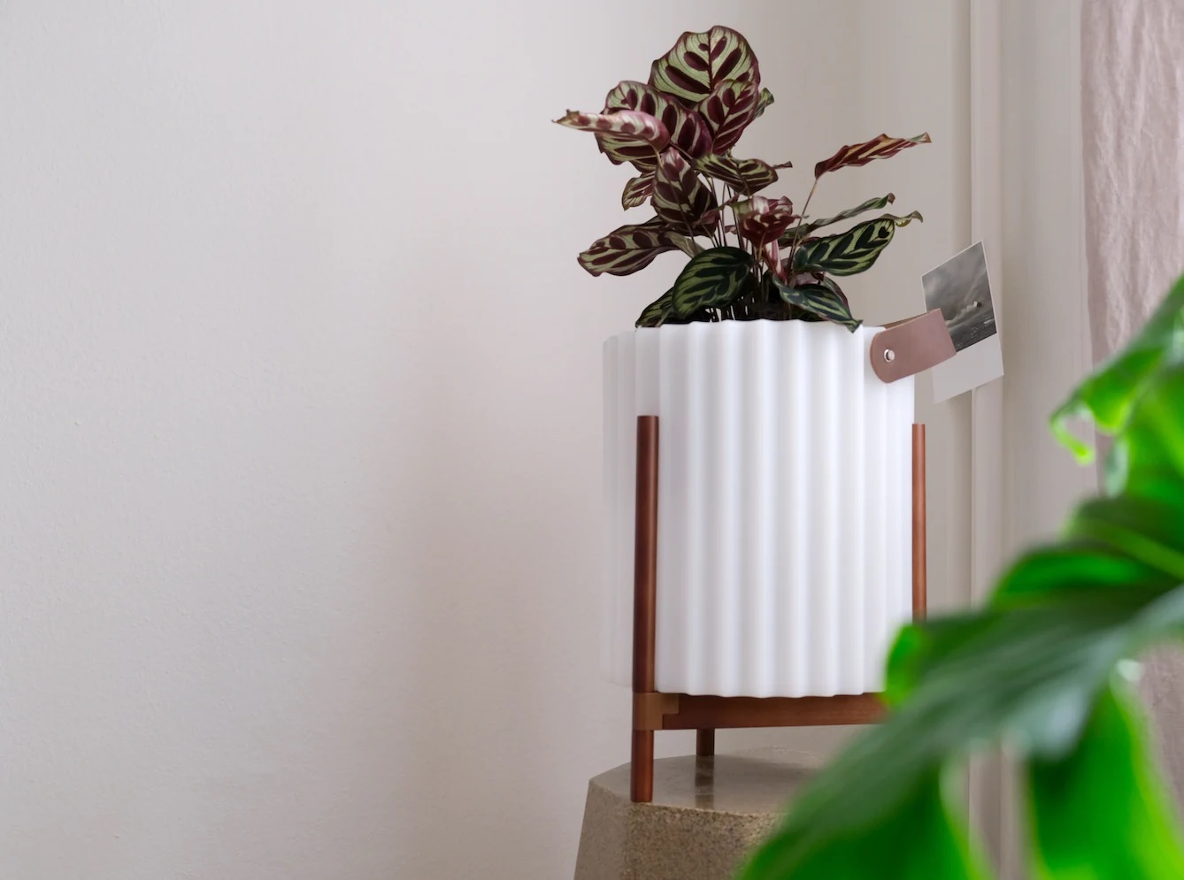 LED Dekolicht mit integriertem Bluetooth 4.2 LED Dekolicht mit integriertem Bluetooth 4.2